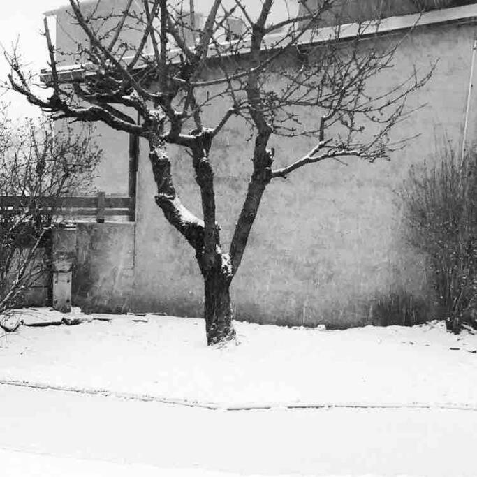 Cote-Bourget 4 Pers Duplex Les Forts Proche La Norma Aussois Villarodin-Bourget Eksteriør billede